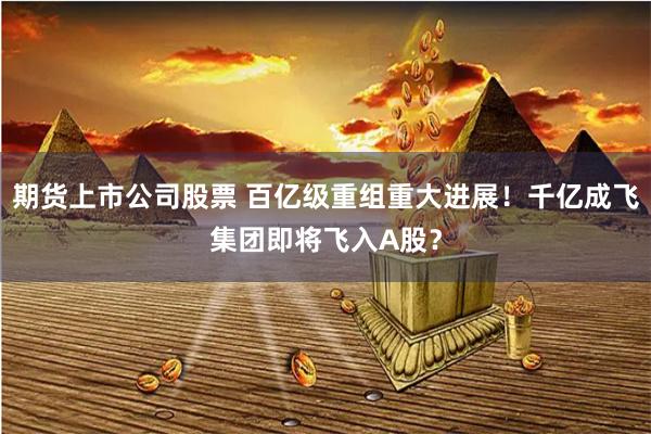 期货上市公司股票 百亿级重组重大进展！千亿成飞集团即将飞入A股？