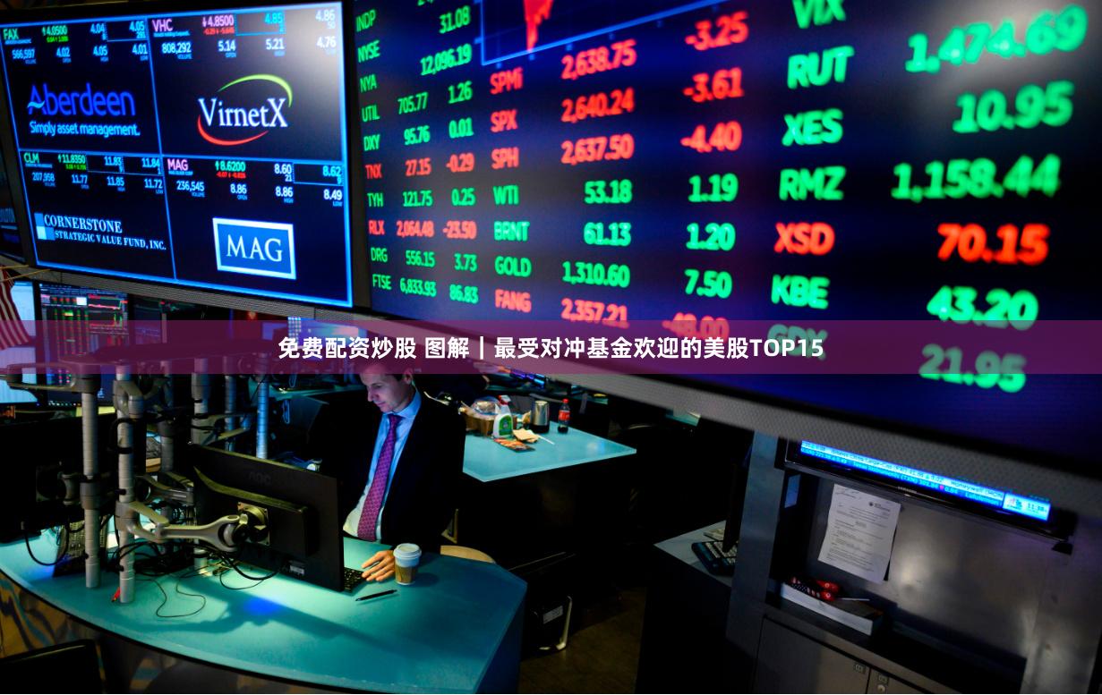 免费配资炒股 图解｜最受对冲基金欢迎的美股TOP15