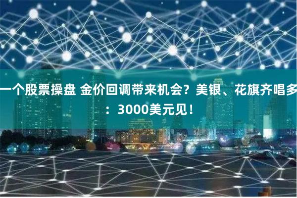 一个股票操盘 金价回调带来机会？美银、花旗齐唱多：3000美元见！
