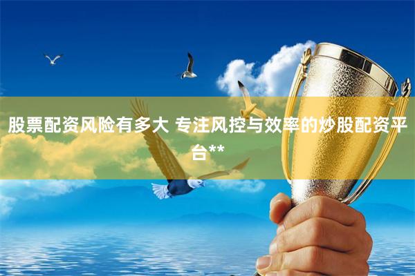 股票配资风险有多大 专注风控与效率的炒股配资平台**